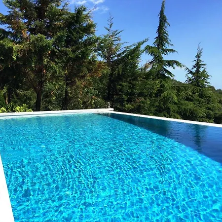 Art Luxury Áyios Vlásios