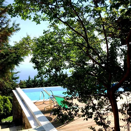 Art Luxury Villa